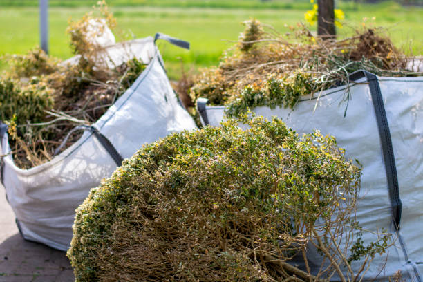 Best Hoarding Cleanup  in West Brownsville, PA